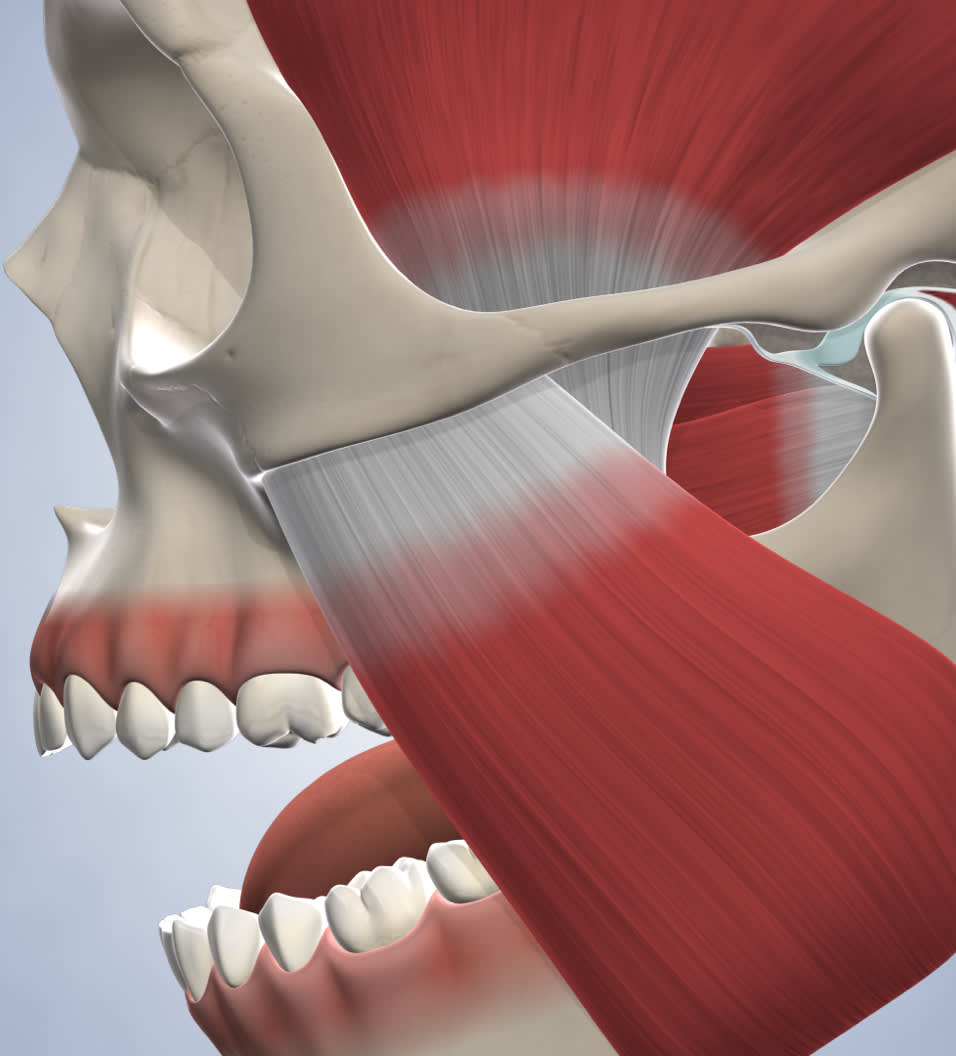 Tmj procedure query page